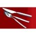 MGS Coburg 12Pcs Spoon and Fork Set