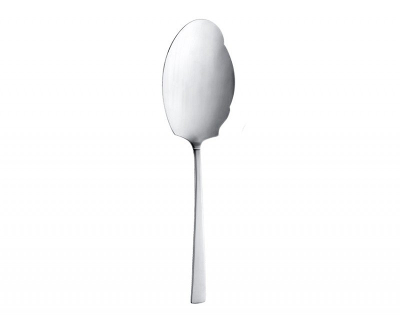 Nicolo Chicago Mat Polished Skimmer spoon